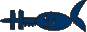 E-Mail an Webmaster
